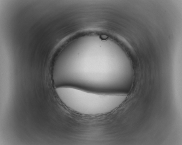 X0000114070872200910051013