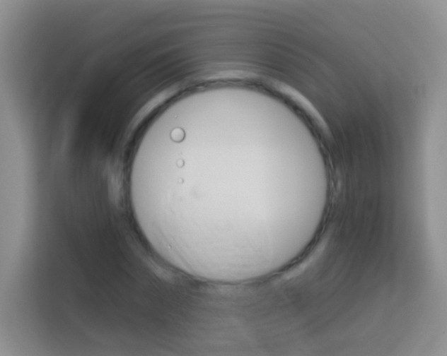 X0000114070874200910051013