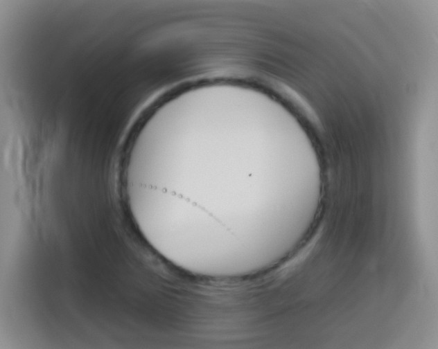 X0000114070875200910051013