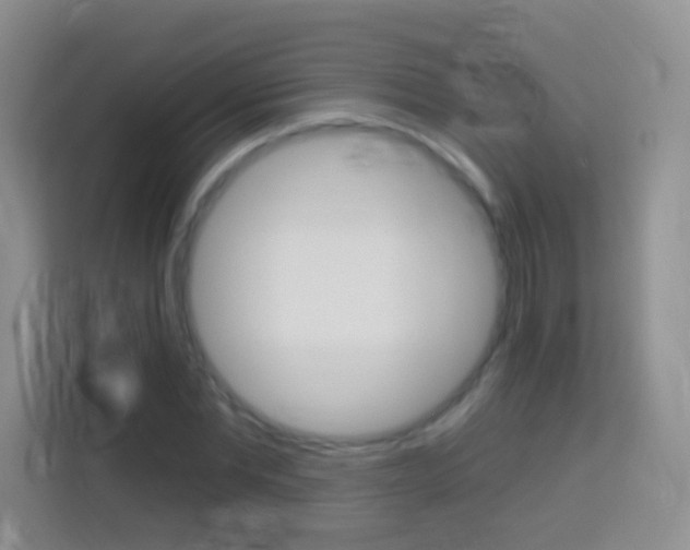 X0000114070877200910051013