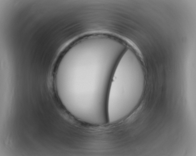X0000114070879200910051013