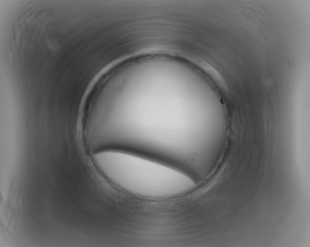 X0000114070880200910051013