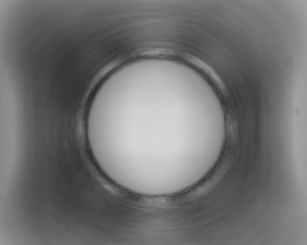 X0000114070882200910051013