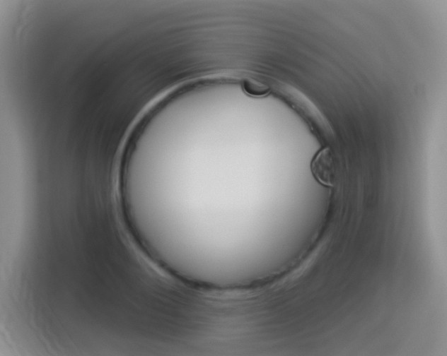 X0000114070884200910051013