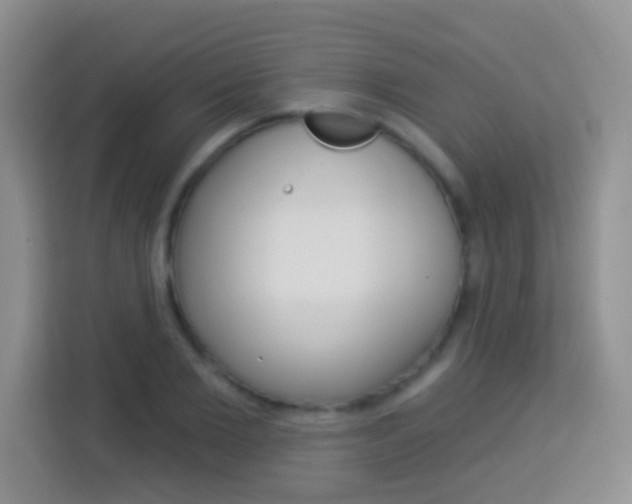 X0000114070885200910051013