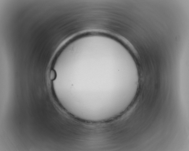 X0000114070887200910051013