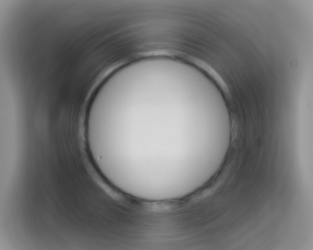 X0000114070890200910051013