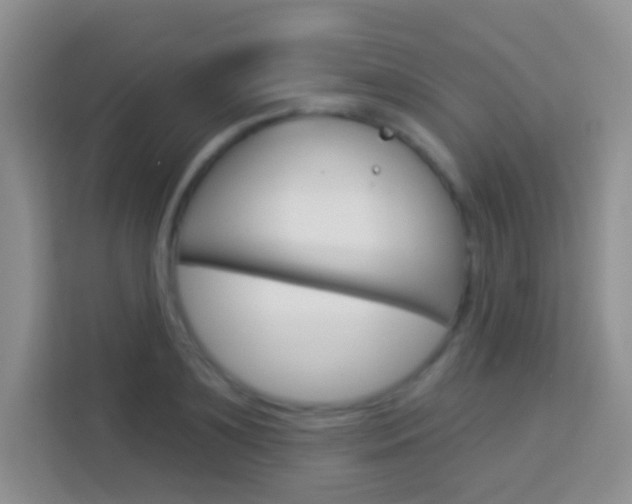 X0000114070891200910051013