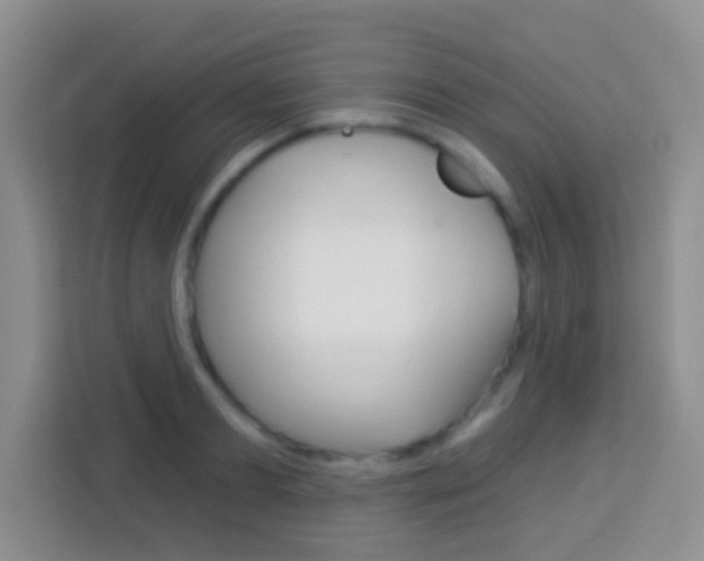 X0000114070893200910051013