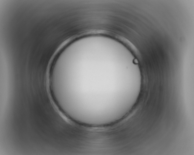X0000114070894200910051013