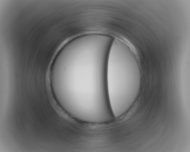 X0000114070899200910051013