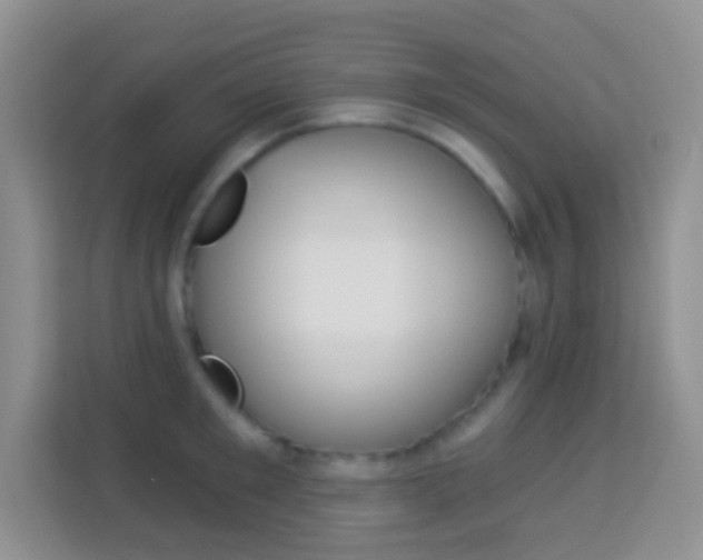X0000114070901200910051013