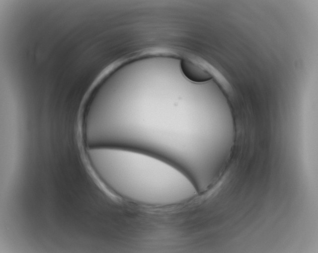 X0000114070902200910051013