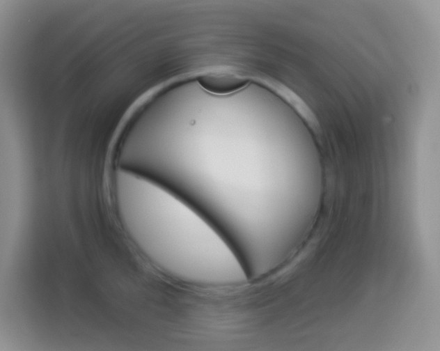 X0000114070904200910051013