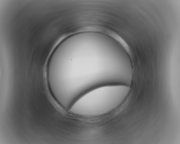 X0000114070907200910051013