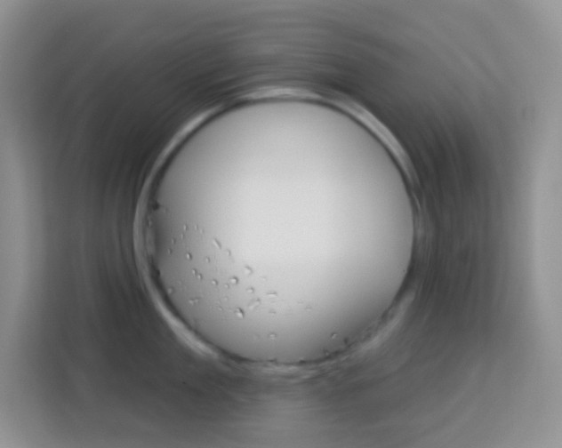 X0000114070909200910051013