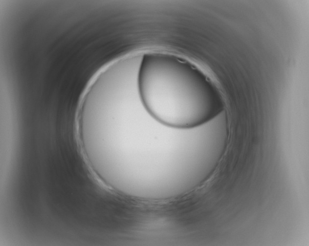 X0000114070912200910051013