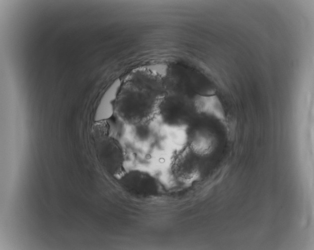 X0000114070913200910051012