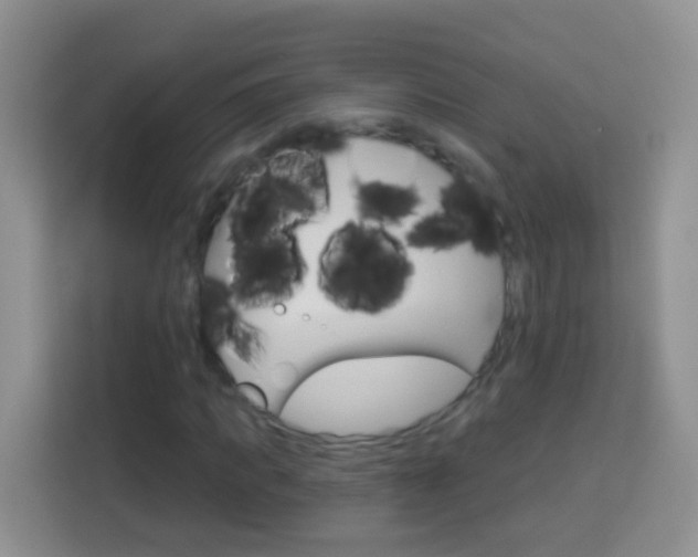 X0000114070917200910051012