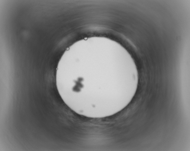 X0000114070918200910051012