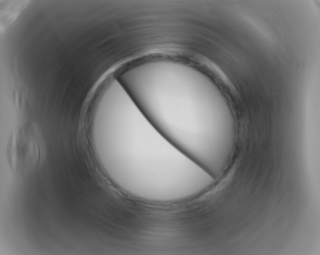 X0000114070923200910051012