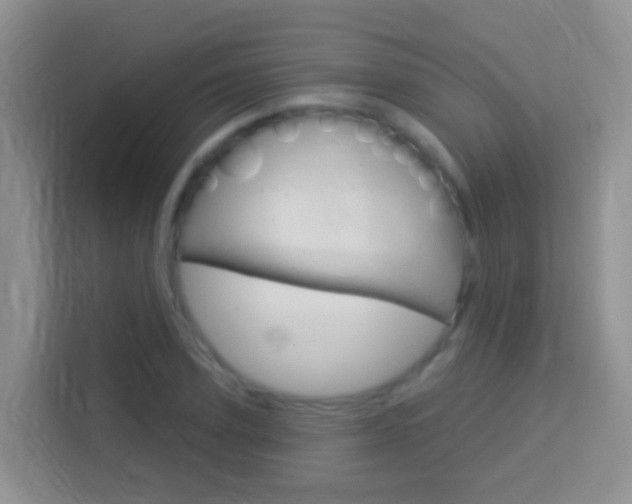 X0000114070931200910051013