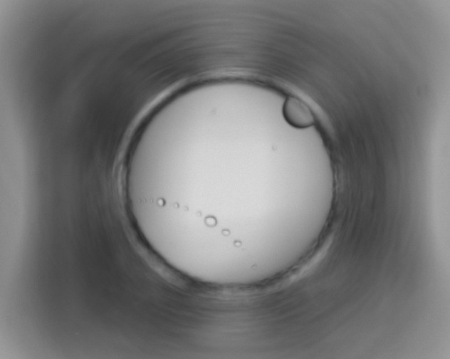 X0000114070933200910051013