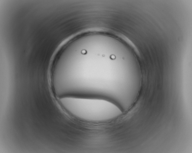 X0000114070935200910051013