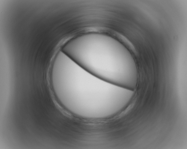X0000114070938200910051013