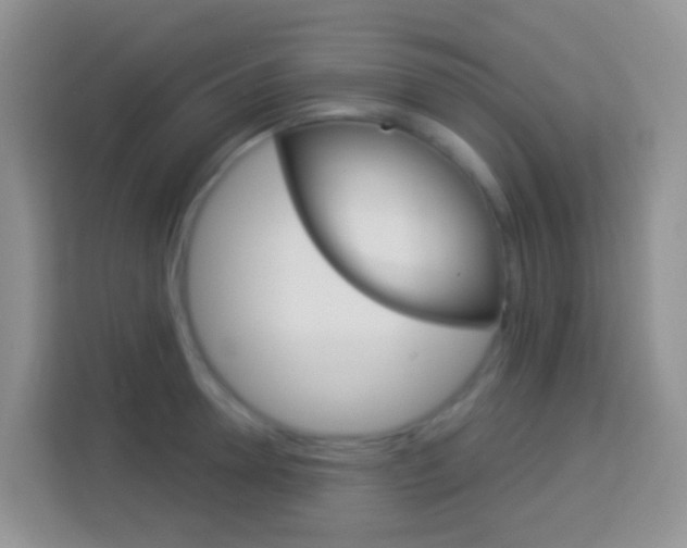 X0000114070946200910051013