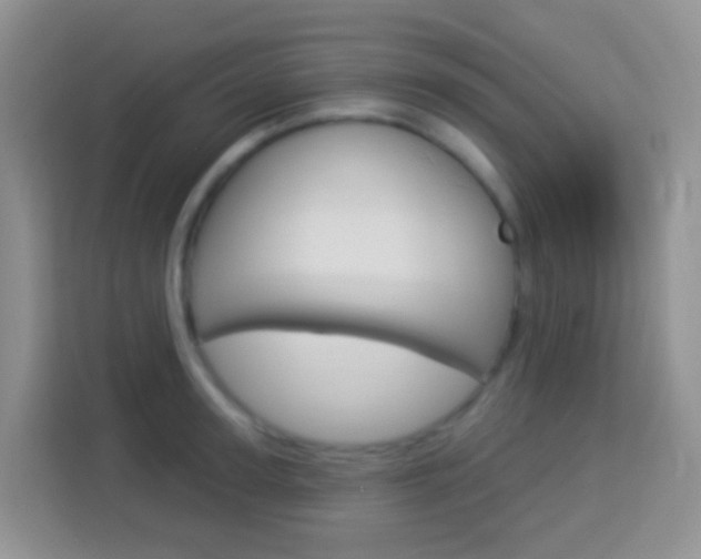 X0000114070947200910051013