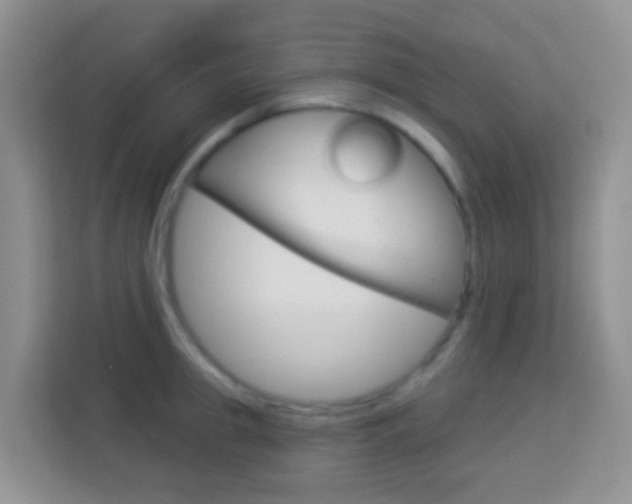 X0000114070949200910051013