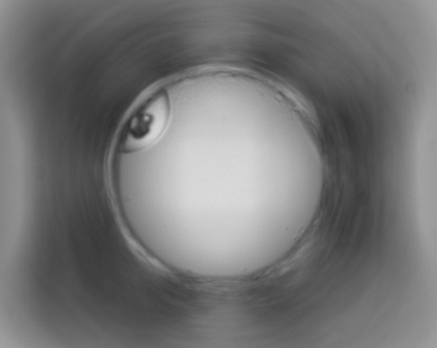 X0000114070950200910051013