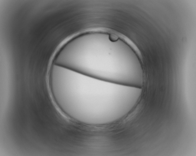X0000114070951200910051013