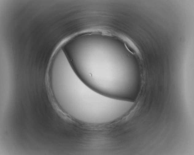 X0000114070952200910051013