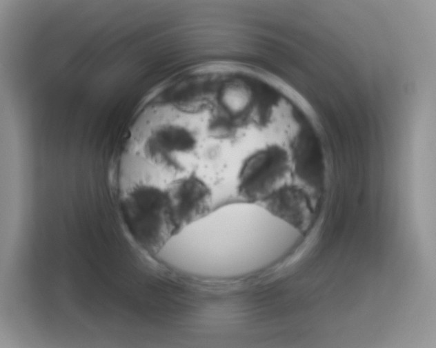 X0000114070953200910051013