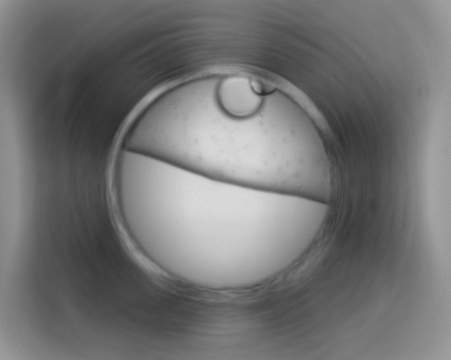 X0000114070955200910051013