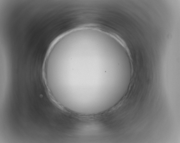 X0000114070960200910051013
