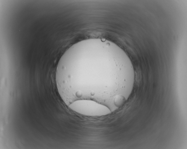 X0000114070962200910051012