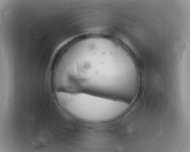 X0000114070971200910051012