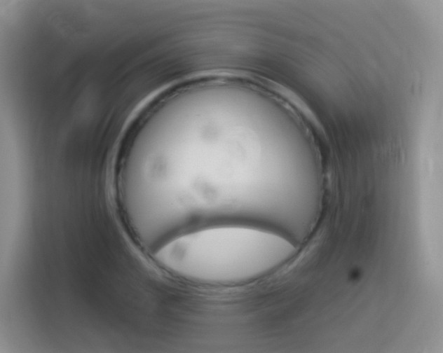 X0000114070972200910051012