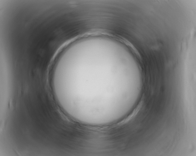 X0000114070973200910051012