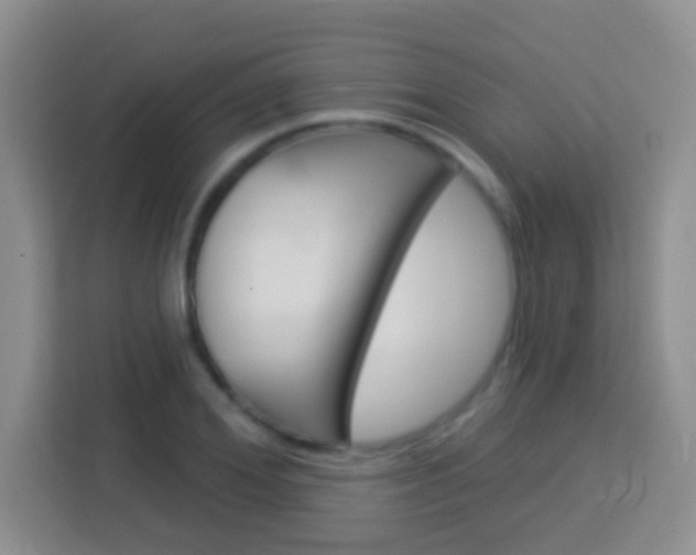 X0000114070980200910051012