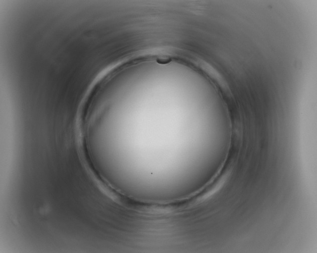 X0000114070981200910051012