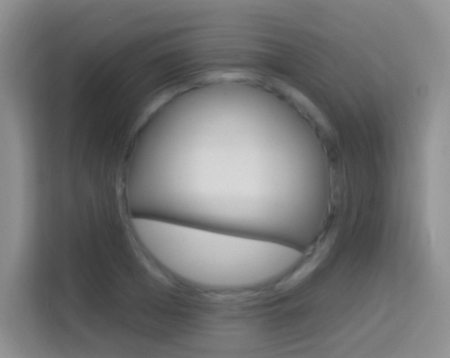 X0000114070985200910051012