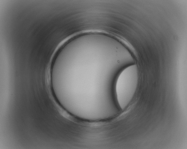 X0000114070988200910051012