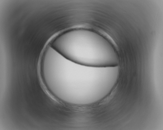 X0000114070991200910051012