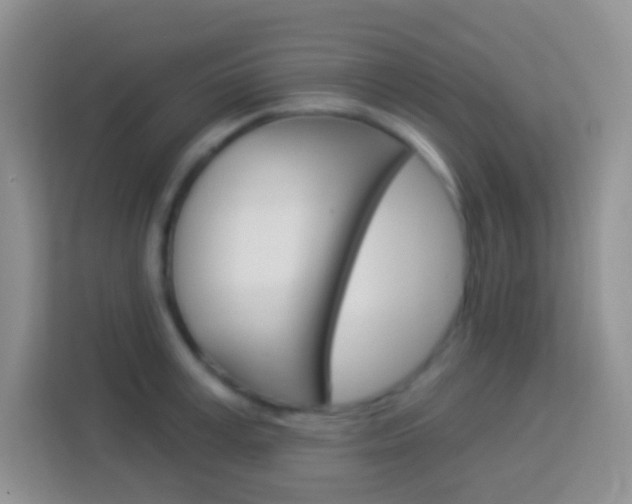 X0000114070995200910051012