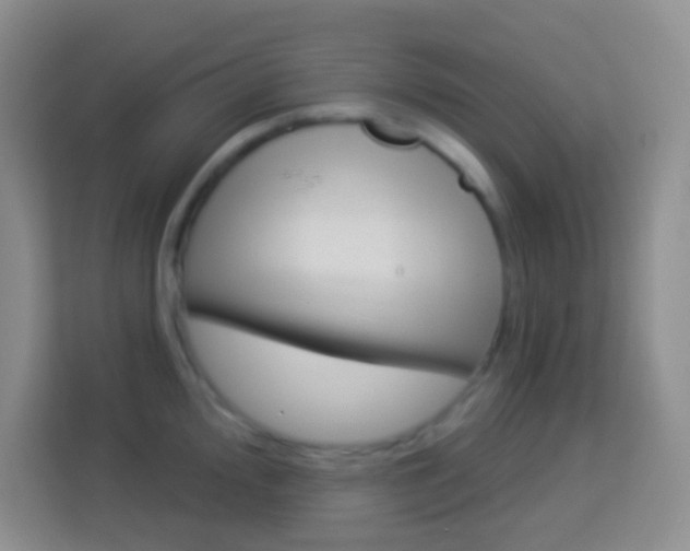X0000114071000200910051012