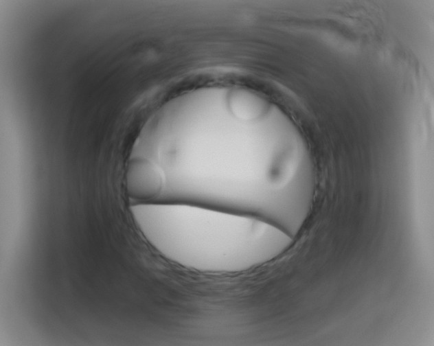 X0000114071014200910051011